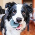 thumbnail image 4 of CHUANK Tennis Ball Dog Toys  3-Pack Set with Squeaker Inside, 4 of 8