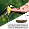 thumbnail image 4 of Bird Feeding Tray Feeding Platform Rustproof Weatherproof 18X18X4Cm Black, 4 of 8