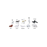 Safari Ltd. Arctic TOOB - Figurines: Harp Seal, Husky, Caribou, Rabbit, Killer Whale, Walrus, Fox, Beluga Whale, Igloo, Polar Bear - Educational Toy Figures For Boys, Girls & Kids Ages 3+