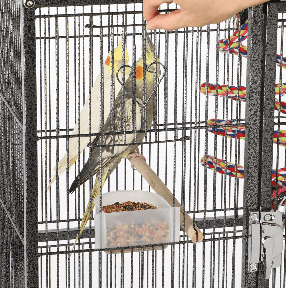 Renwick 69" H Extra Large Bird Cage with Detachable Stand, Matt Black