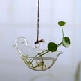 thumbnail image 2 of Home Garden Clear Glass Flower Hanging Vase Planter Terrarium Container, 2 of 5