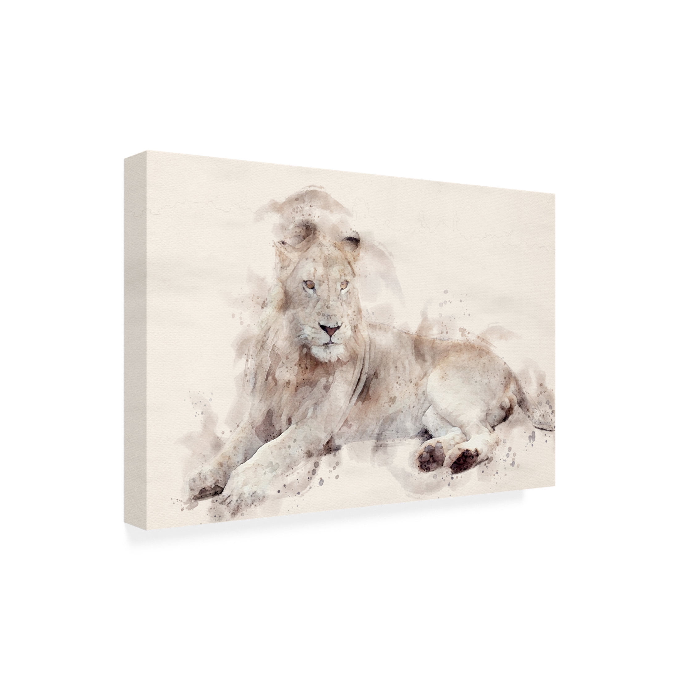 Trademark Fine Art Arno Du Toit Abstract African Lion Watercolor Art Canvas Wall Art