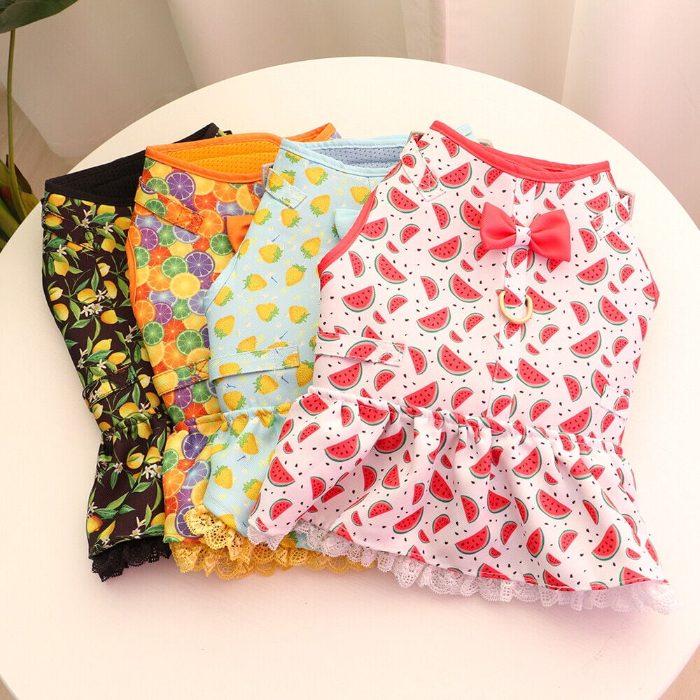Pet Artist Cute Girl Dog Harness Dress and Leash set Fancy Summer Small Pet Cat Vest Clothes