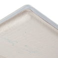 thumbnail image 4 of S.R. Smith 66-209-598S2 8' Frontier III Diving Board - White, 4 of 5