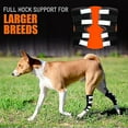 thumbnail image 2 of Dog Rear Leg Hock Brace, Rear Hock Joint Support With Safety Reflective Straps For Pet Wound Healing, Injuries, Sprains From Arthritis, 2 of 5