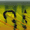 Firetiger, variant on Berkley PowerBait Ripple Shad Fishing Bait, Racy Shad, 3in | 8cm