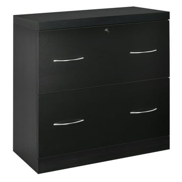 Finihen 2-Drawer File Cabinet with Lock Hinging Bar Letter and Legal Size, Black