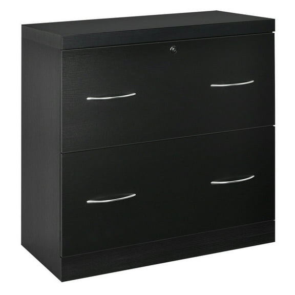 Resenkos Filing Cabinet Office Drawers, Office Storage Cabinet,2-Drawer File Cabinet with Lock Hinging Bar Letter and Legal Size-Black
