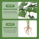 thumbnail image 1 of IFANLANDOR Planta Falsa Para Oficina Con Aspecto Vívido Y Material Duradero Para Interior, 1 of 5