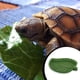 thumbnail image 4 of Billuyoard Alimentador de agua para reptiles en forma de hoja, tazón de comida de oruga de tamaño pequeño, cuenco de alimentación compacto Suministros de alimentación y agua para mascotas Billuyoard PT004132-00, 4 of 6