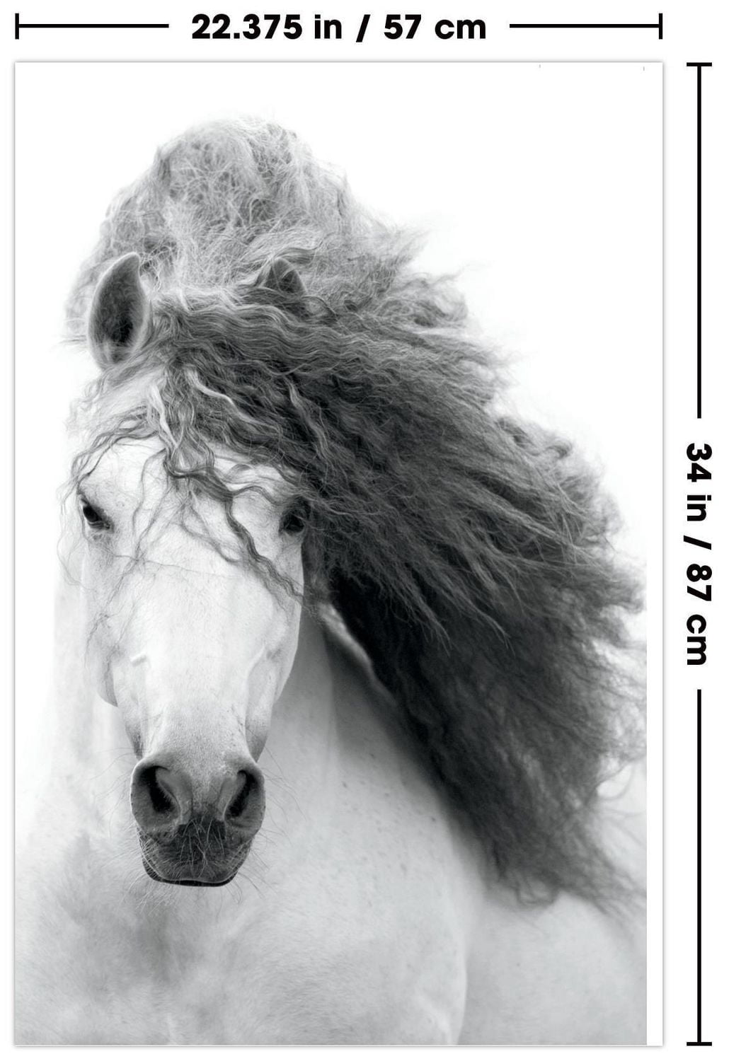 Grayscale Horse Wall Poster, 22.375" x 34"