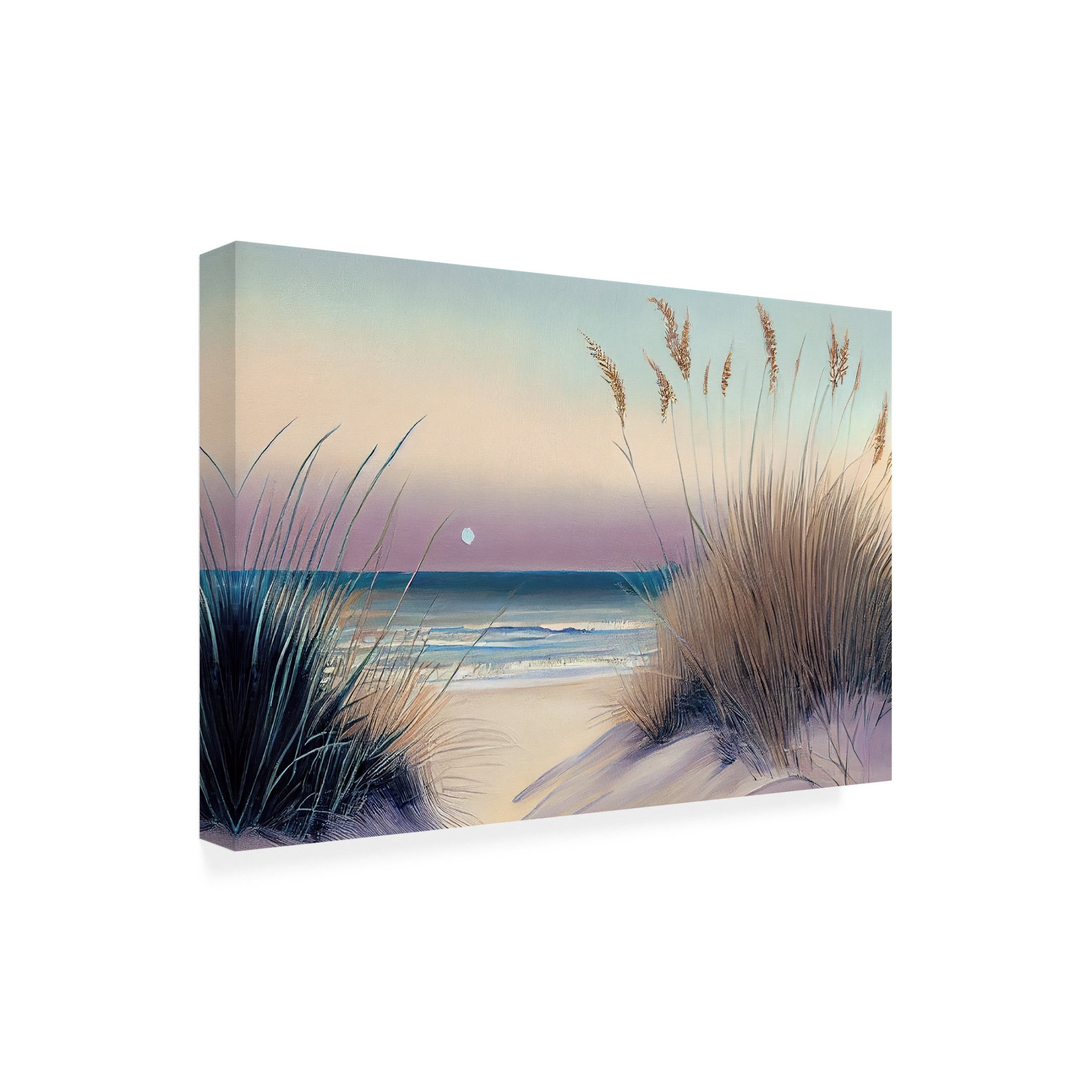 Canvas Wall Art - Sasha 'Euphoria IV' Wall Art for Living Room, Bedroom, or Office Décor by Trademark Fine Art - 24 x 16 Inches