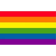 Rainbow Flag Gay Pride Banner Striped Pennant LGBT Large Event Sign New 4x6