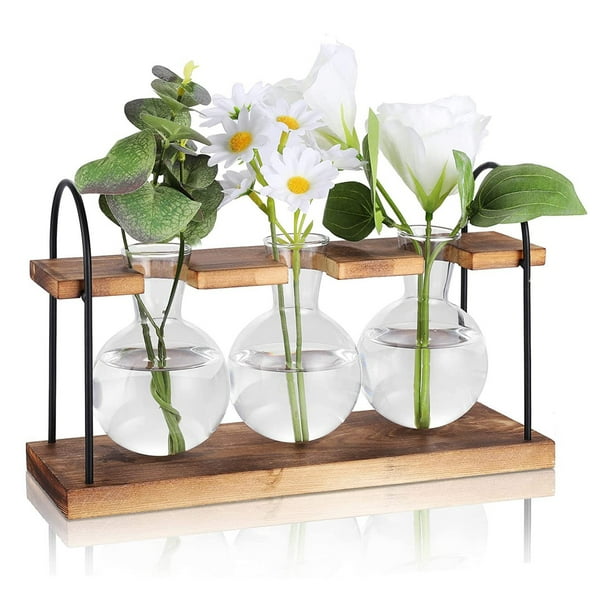 Plant Propagation Station with Wooden Stand,Plant Terrarium Desktop Propagation Stations,Air