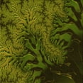 thumbnail image 1 of Ahgly Company Machine Washable Indoor Square Transitional Olive Green Area Rugs, 6' Square, 1 of 7