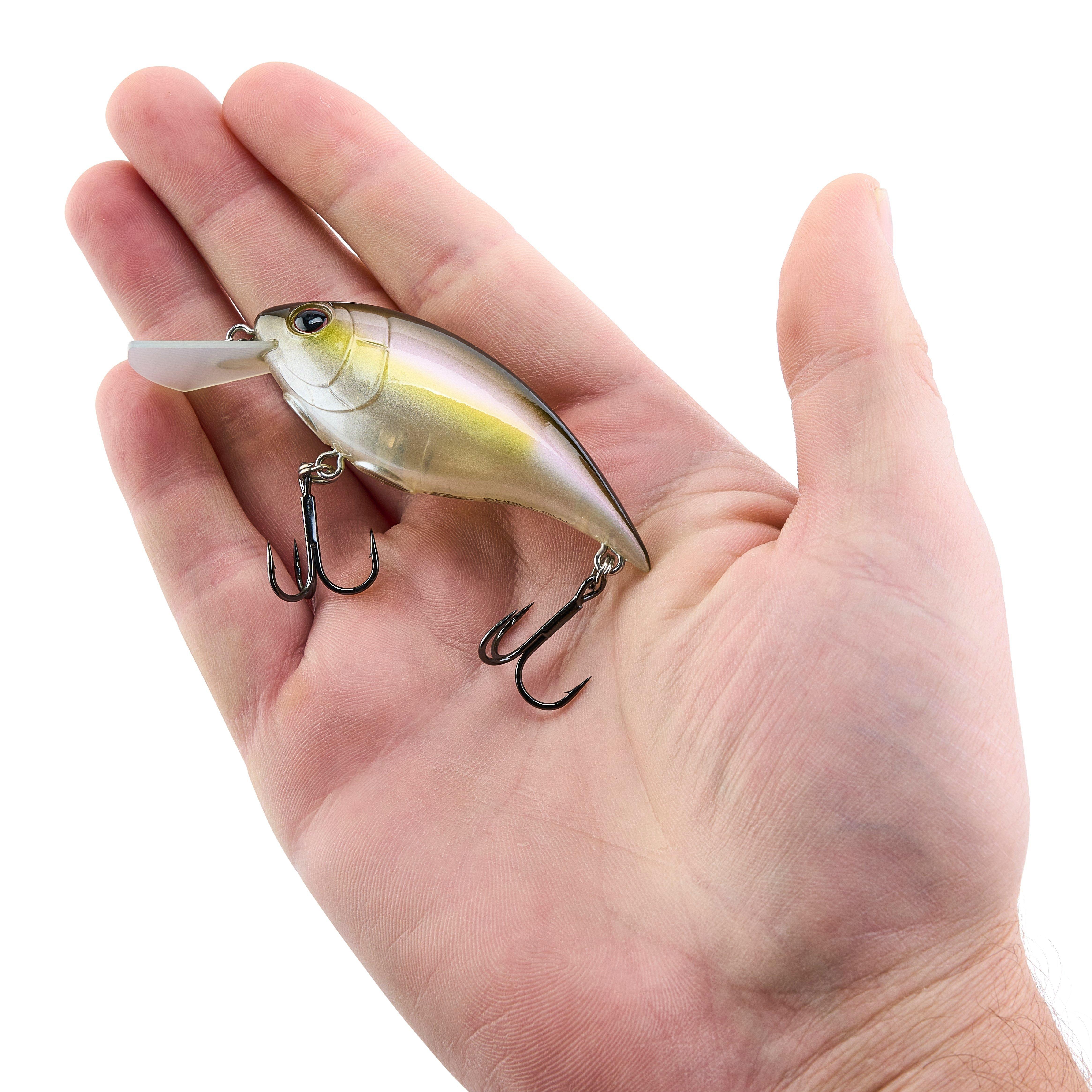Berkley Shallow Money Badger Fishing Crankbait, 2.75 in, Hybrid Baitfish-Crayfish