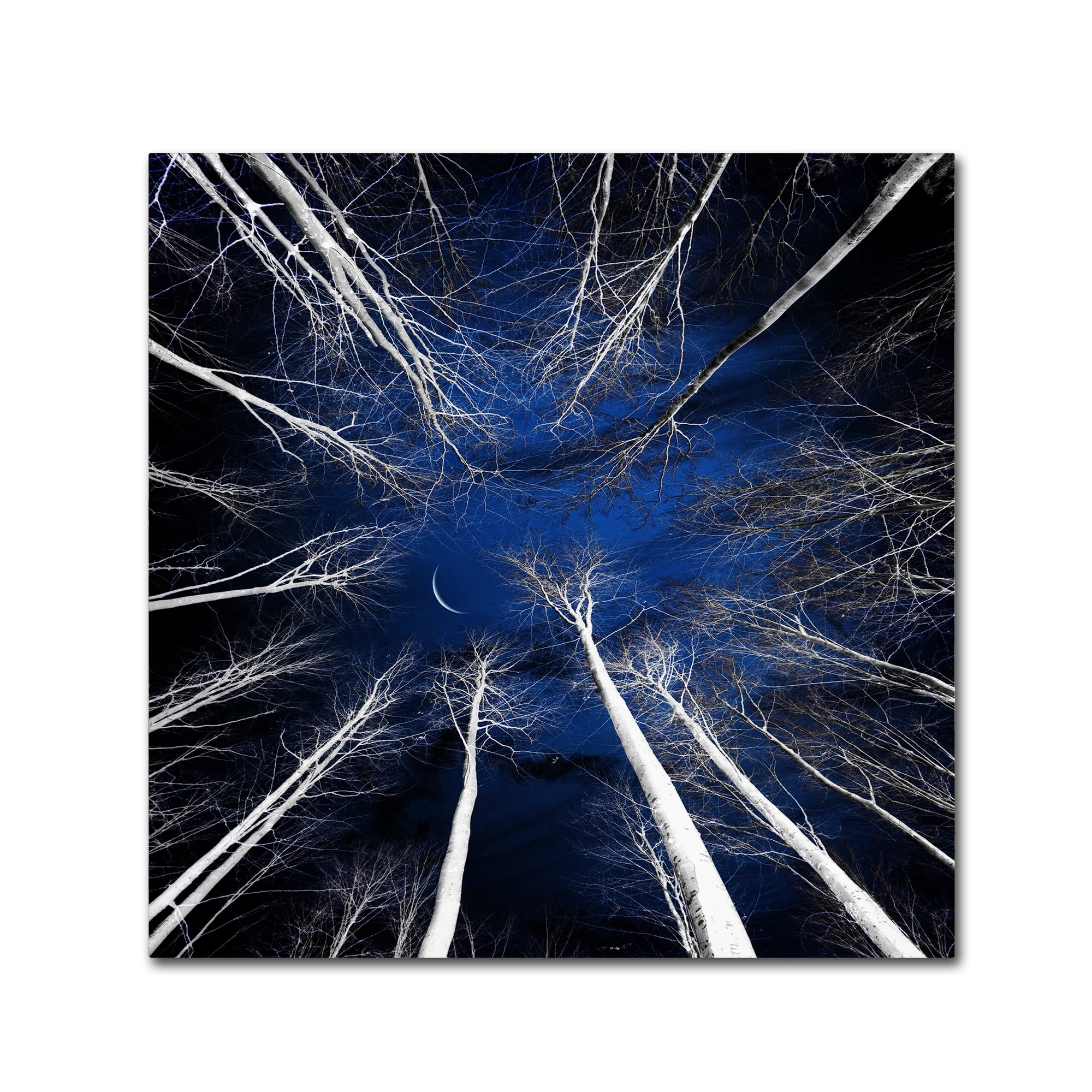 Trademark Fine Art "Renegades" Canvas Art by Philippe Sainte-Laudy
