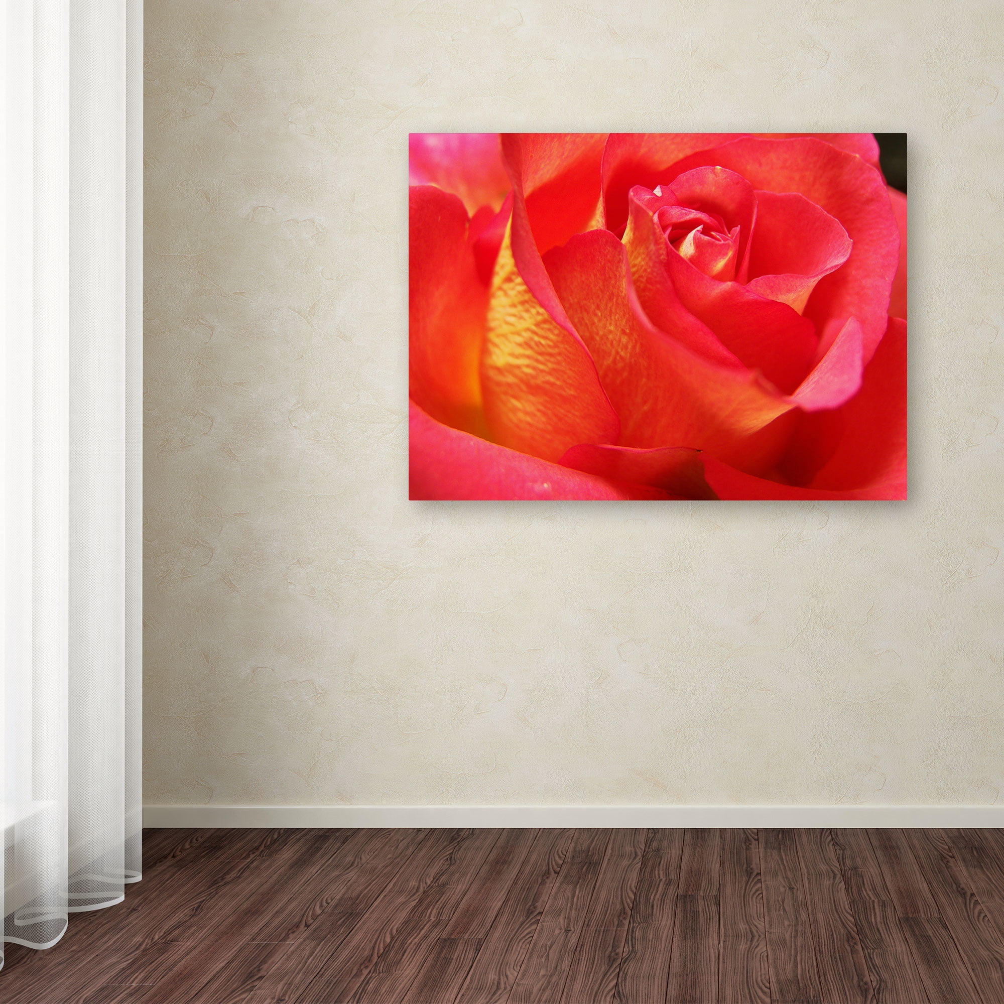 Trademark Fine Art "Empowering Heart" Canvas Art by Monica Fleet