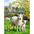 thumbnail image 1 of Carolines Treasures ASA2024CHF Drapeau de Mouton en Toile Taille Maison, 1 of 4