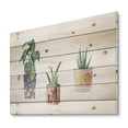 thumbnail image 2 of Designart 'Three Potted Houseplants On White' Traditional Print on Natural Pine Wood, 2 of 5