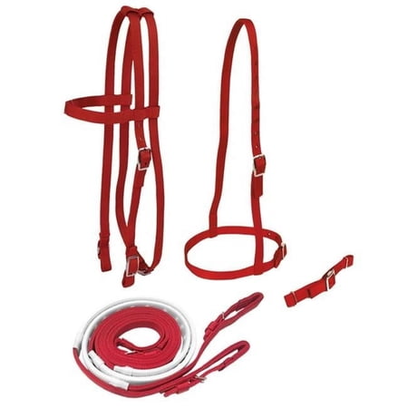 Race Bridle Set with Buckle Reins, Purple