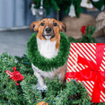 thumbnail image 2 of Artificial Decorated Tinsel Garland for Holiday Party Christmas Tree-green-, 2 of 6