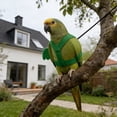 thumbnail image 4 of zhonghuaying Pet Birds Harness and Leash Flight Suit Harness Vest Outdoor Activity Fly Training Clothes for Cockatoo Parakeets Flight Suit and Leash(H,Green), 4 of 4
