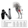 thumbnail image 7 of WBQ  Leg Brace for Dog Pet Injury Knee Brace Dog Back Leg Protector Elbow and Knee Pads Puppy Brace Paw Comfy Brace Puppy Leg Large Dog Recovery Kit, 7 of 7