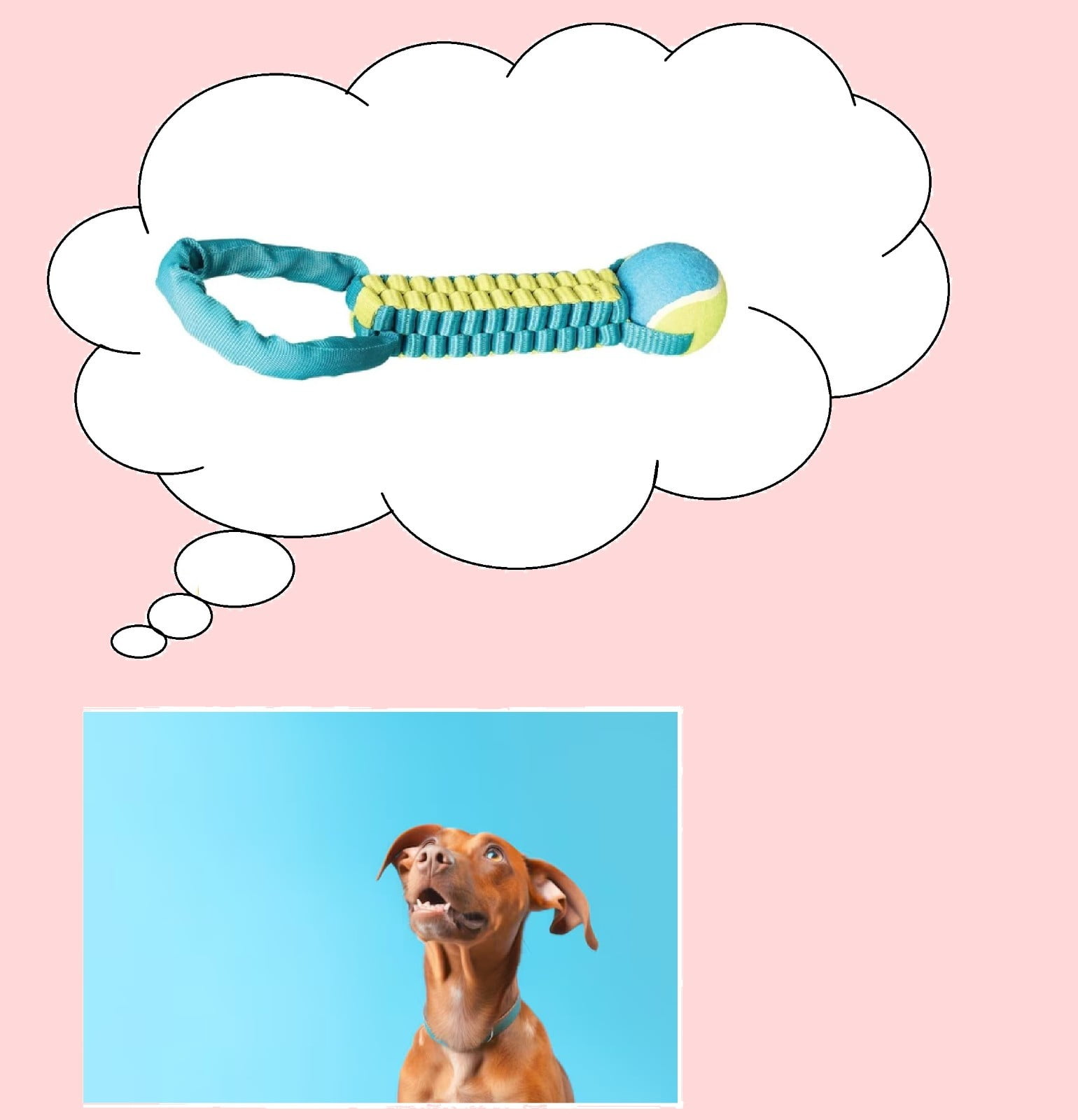 Interactive Braided Nylon Body Tennis Ball 12 Inch Dog Tug Toy Dual Materials (Blue)