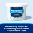 thumbnail image 3 of Farnam Hindgut Stabilizer Pellets 3.75 lb., 30 Day Supply, 3 of 16