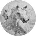 thumbnail image 2 of Addison Rugs Mayfield Premium Machine Washable Transitional Animal Gray Round Rug, 8' X 8' Machine Washable Transitional Animal Gray Oversized Sherpa Throw Blanket, 2 of 6