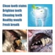 thumbnail image 5 of ¡Compre 2 y obtenga 3! Cepillo de dientes para mascotas, perro, gato, sarro, gato, perro, cepillo de dientes para mascotas, herramienta de limpieza de piedras4ml, 5 of 5