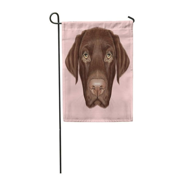 POGLIP Brown Black Labrador Retriever Dog Portrait of Chocolate on Pink Drawing Garden Flag Decorative Flag House Banner 28x40 inch