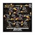 thumbnail image 3 of Warmachine: Unité Cryx Blighted Trollkin Marauders (10), 3 of 3