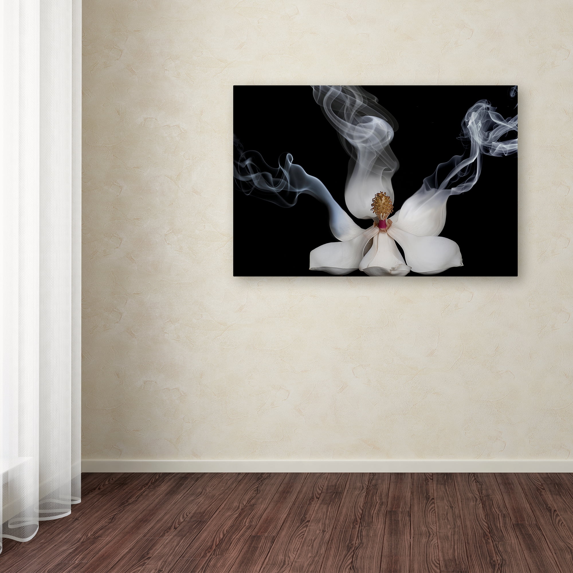 Trademark Fine Art 'Smoking Magnolia' Canvas Art by Lori Hutchison