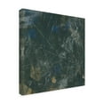 thumbnail image 4 of Trademark Fine Art June Erica Vess  Midnight Constellation II Canvas Wall Art, 4 of 4