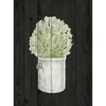 thumbnail image 2 of Gaynor, Janice 12x14 White Modern Wood Framed Museum Art Print Titled - Herbs on Black Wood II, 2 of 4