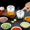 thumbnail image 3 of OUSITAID Mini Food Chopper 250/100ML  Portable Waterproof Garlic Press Chopper with USB   Powerful Small Food Processor Garlic Masher /Blender, 3 of 10