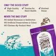 thumbnail image 4 of Stella & Chewy's Baked Kibble for Cats - Raw Coated Wild-Caught Salmon Recipe - 2.5 Pound Bag, 4 of 8