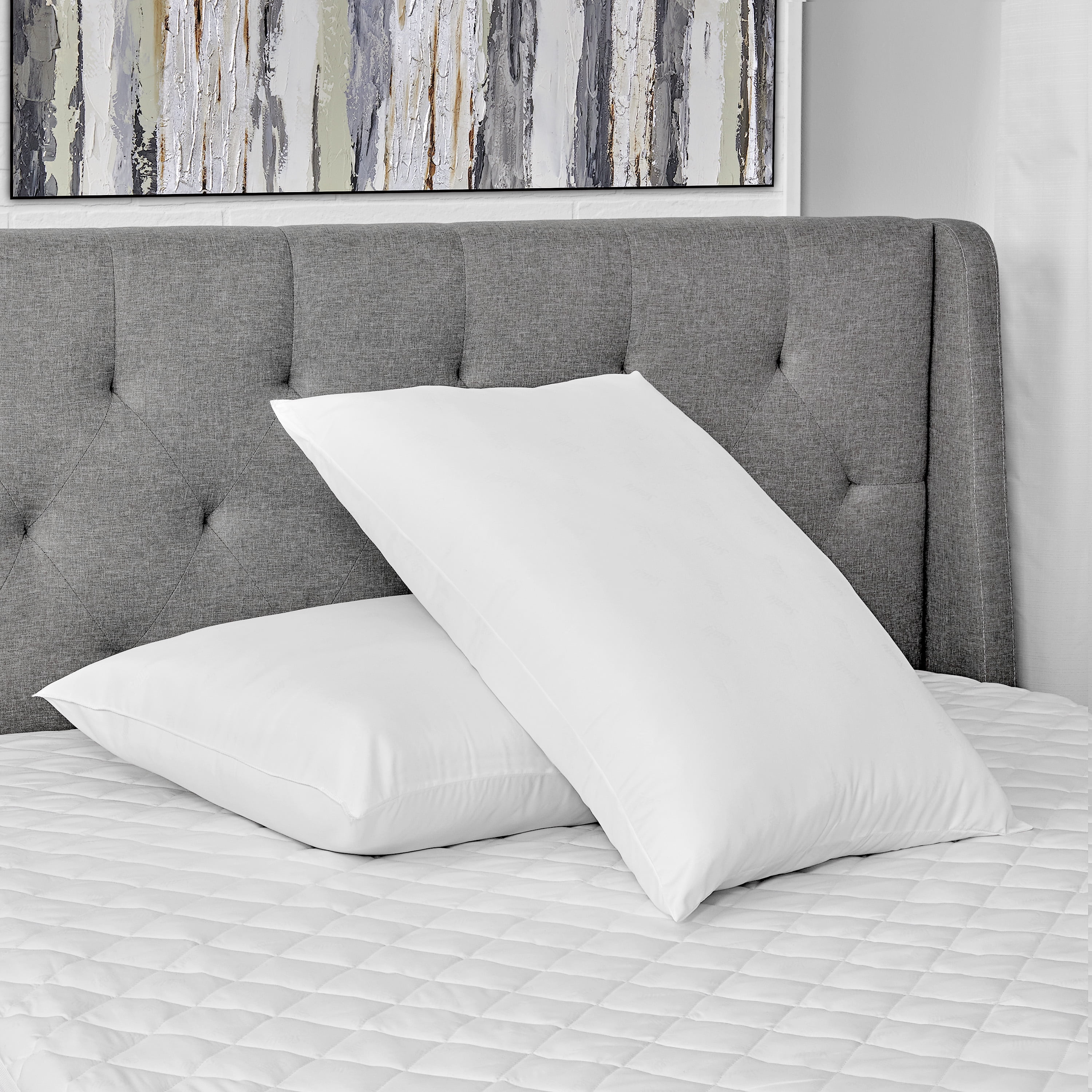AllerEase Cotton Fresh Bed Pillow, S/Q, White- 2 Pack Antimicrobial Allergy Defense Fabric