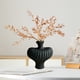 thumbnail image 5 of Botellas Decorativas De Plástico 1 Piezas 10.04x9.06x3.15" Jarrón plástico imitado vidriado en negro para arreglos florales en el salón, armario de televisión o decoración de flores secas JASKFLY, 5 of 8