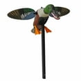thumbnail image 2 of MOJO Outdoors Spoonzilla Shoveler Duck Motion Decoy with Spinning Wings and Pole, 2 of 8