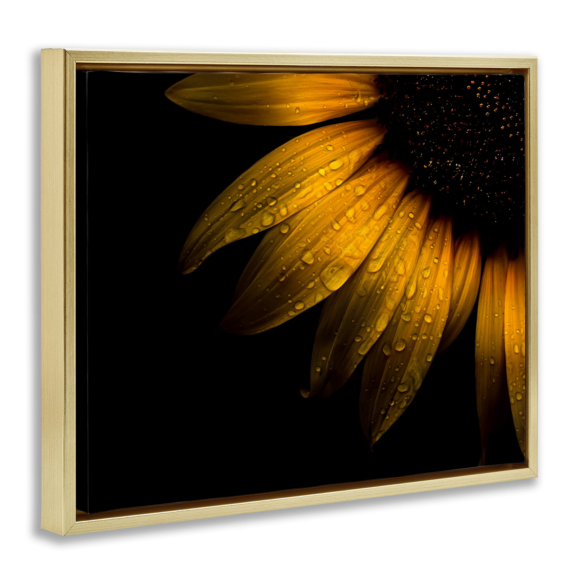 Water Droplets on Sunflower Gold Framed Floater Canvas Wall Art, design by Brian Carson Photography