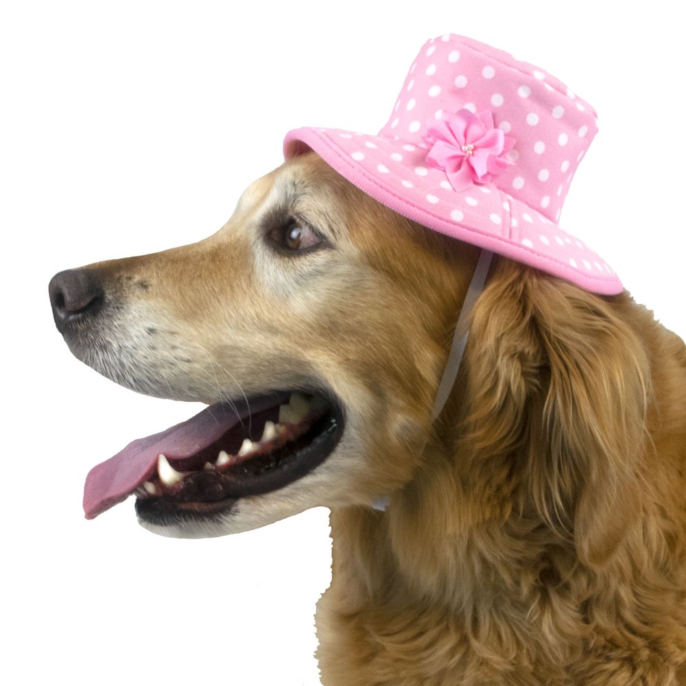 Vibrant Life Bucket Dog Hat, Pink Polka Dot, Medium/Large