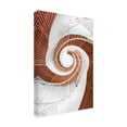 thumbnail image 4 of Trademark Fine Art Peiyin Wang Spiral Staircase Canvas Wall Art, 4 of 4