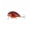 A, variant on MInHoues Floating Crankbait Fishing Lure, 1.77" Hard Plastic Artificial Bait with Treble Hooks, Realistic Swimbait with Wobble Action for Bass, Freshwater Saltwater Tackle