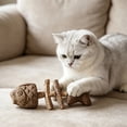 thumbnail image 4 of Catnip & Silvervine Chew, 2026 New Creative Fish Bone Cat Dental Chew Toy, Natural Cat Sticks that Clean Teeth, Durable Wooden Feline Tooth Care Tool, 4 of 6