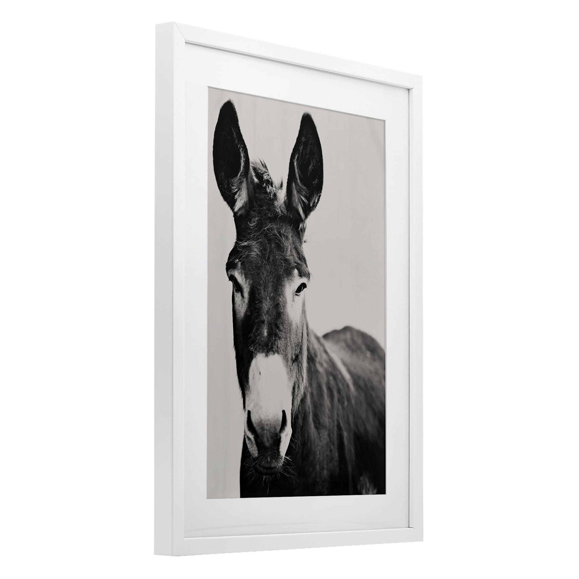 Stupell Industries Franz the Donkey Portrait White Framed Print Under Glass, design by Amy Carroll