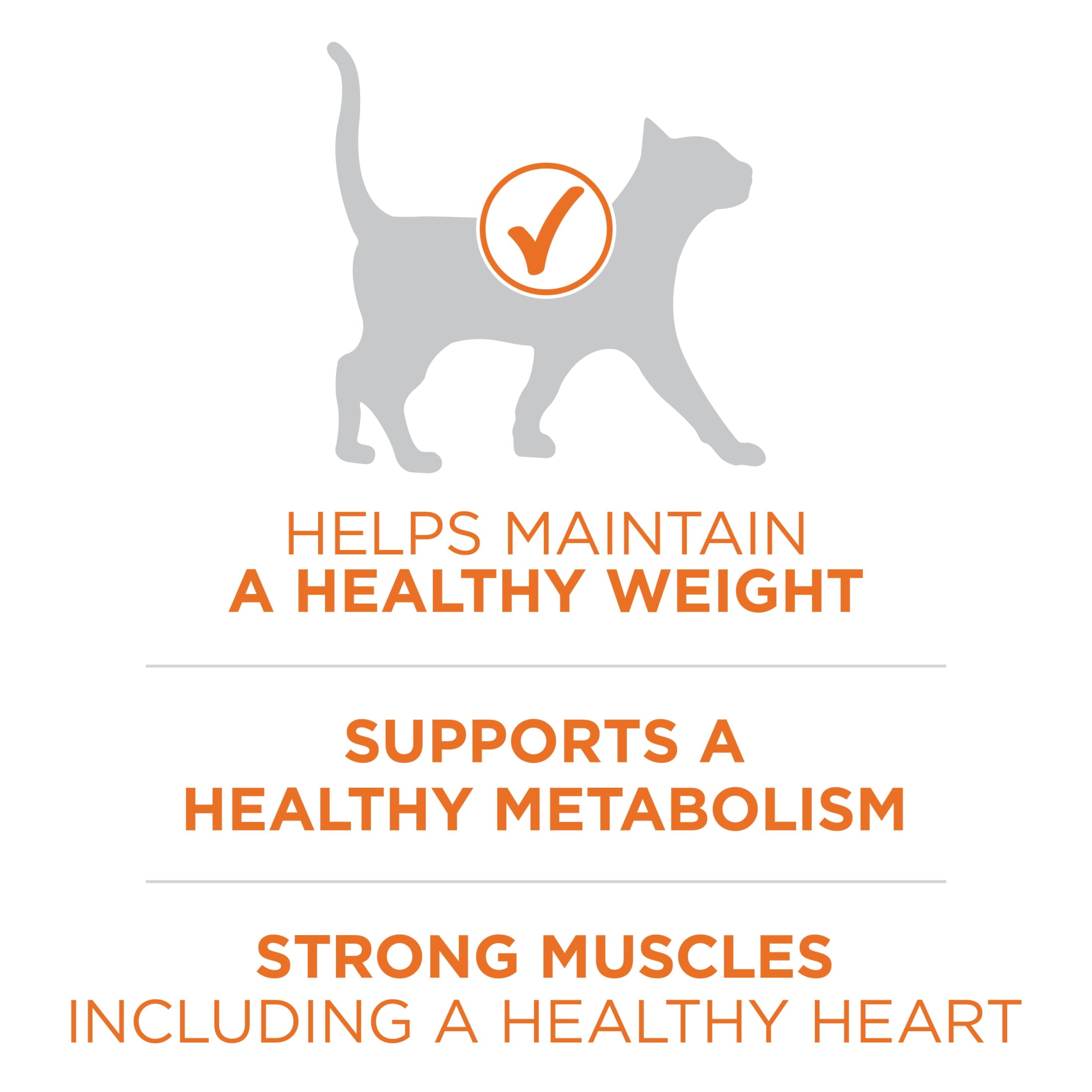 Purina ONE Plus Weight Control Chicken Flavor Dry Cat Food, 22 lb Bag