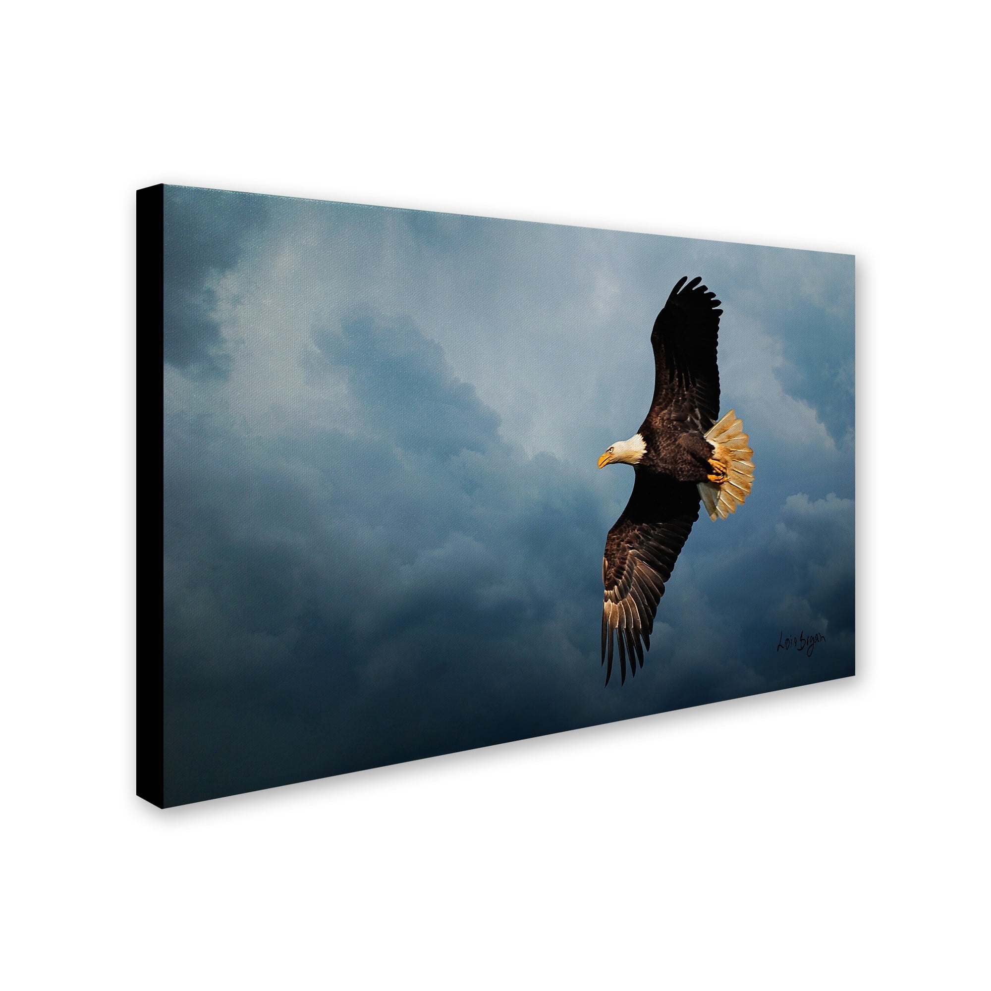 Trademark Fine Art "Eagle in the Sky" Canvas Art by Lois Bryan, 12" x 19"
